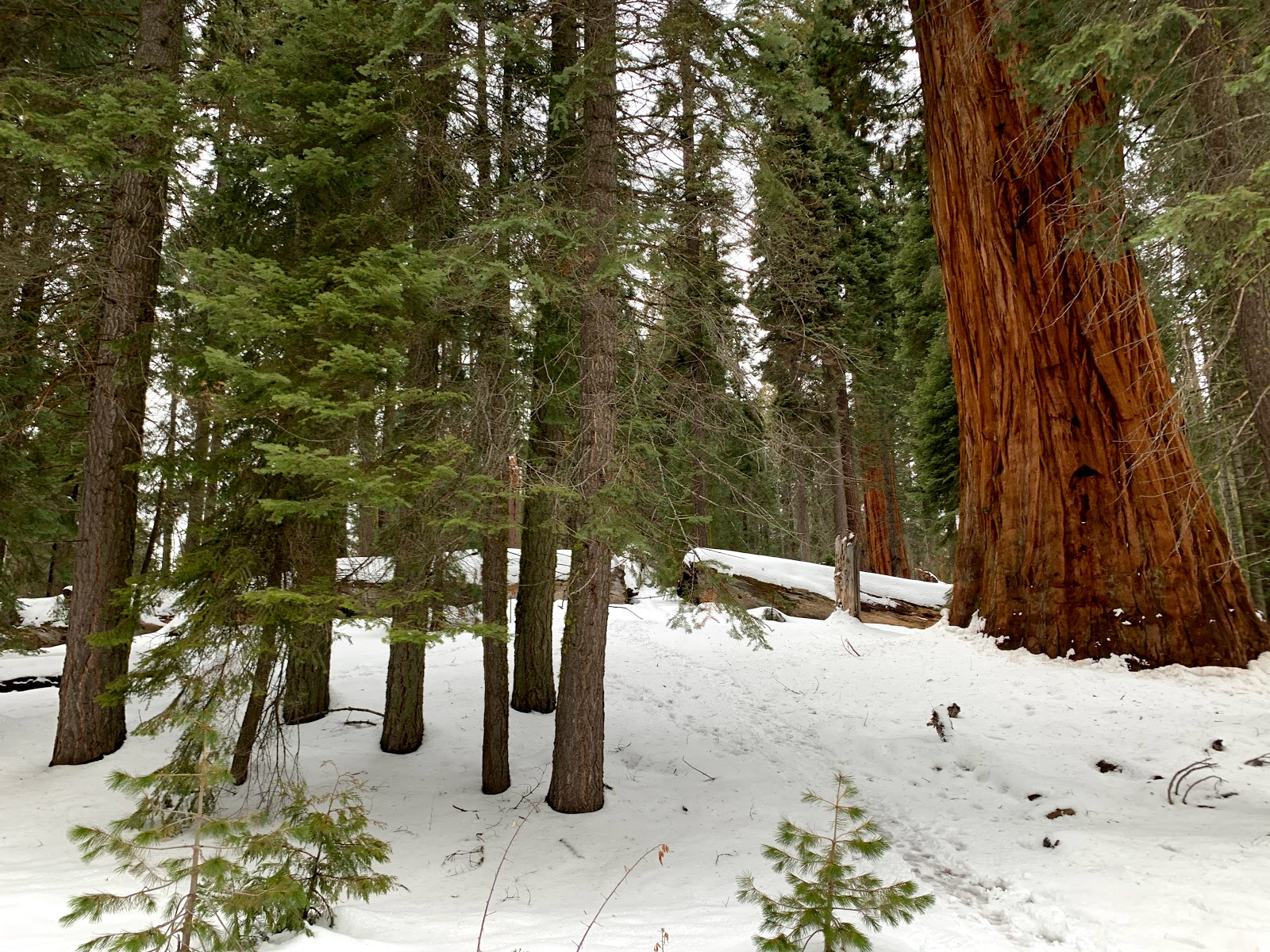 Wolverton Stock Campsites