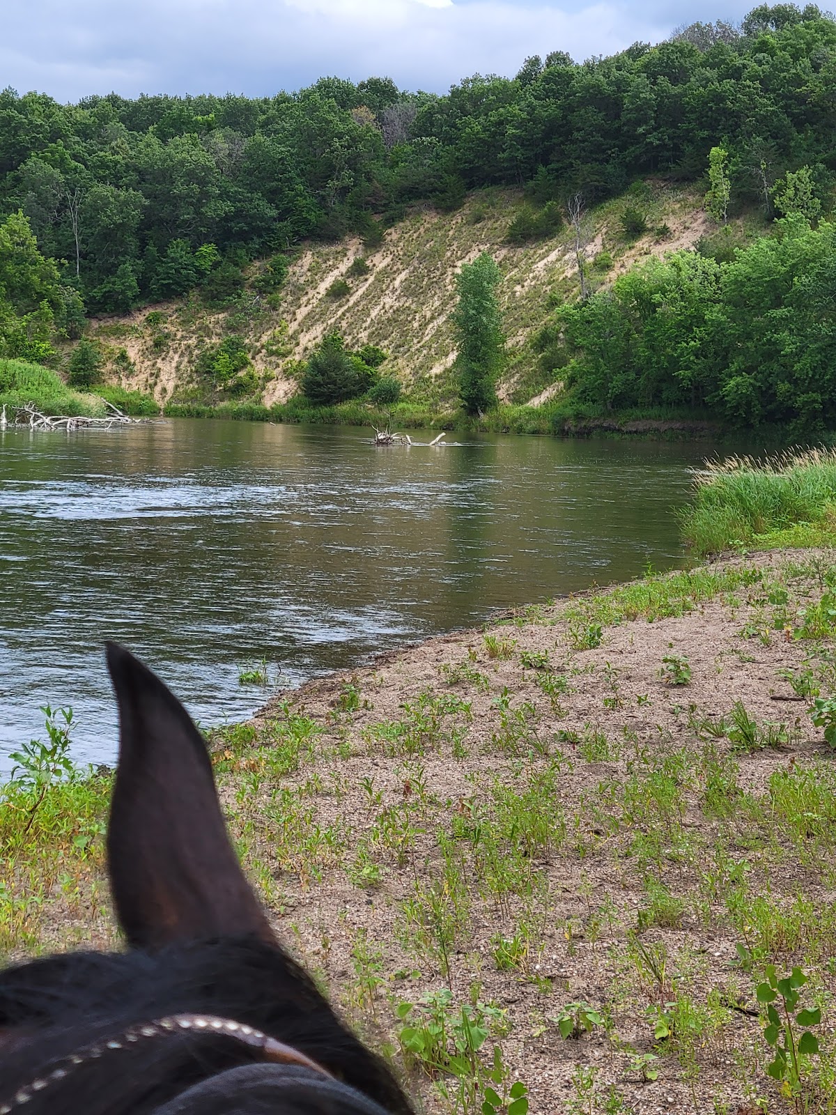 Zumbro Bottoms Horse West Campground
