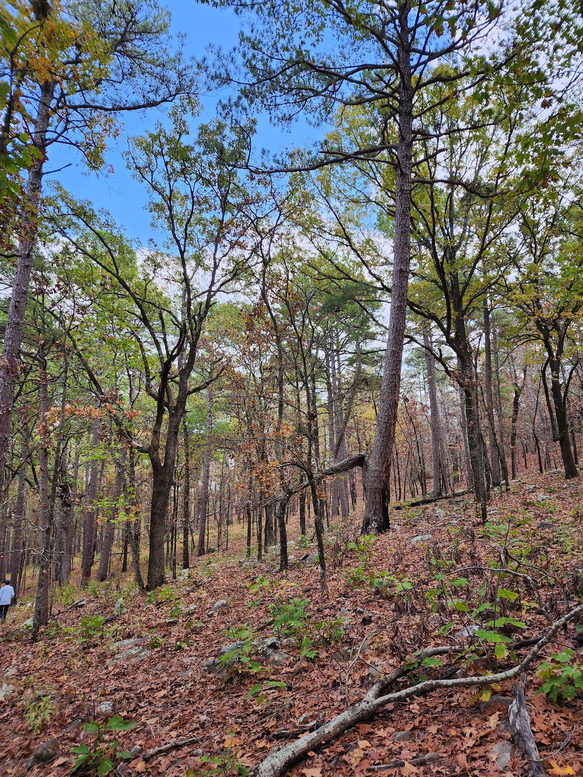 McGee Creek State Park