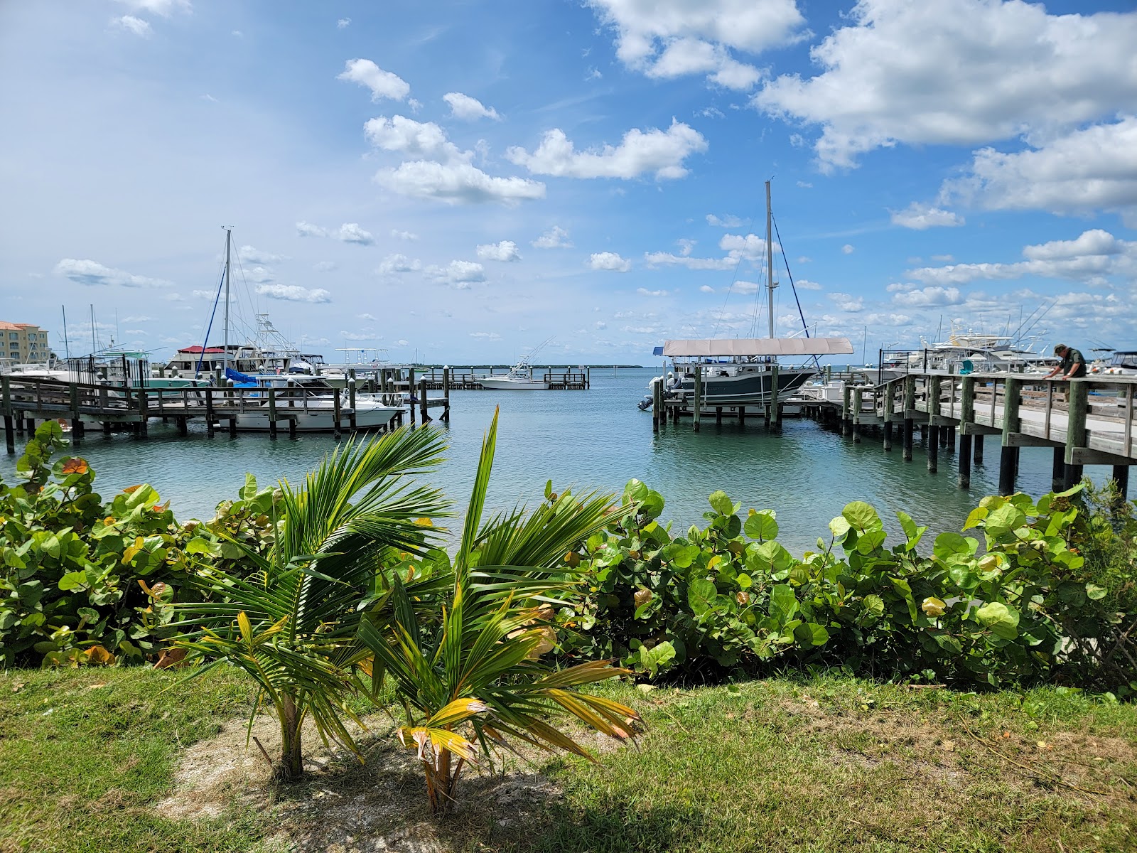 Causeway Cove Marina and RV Park