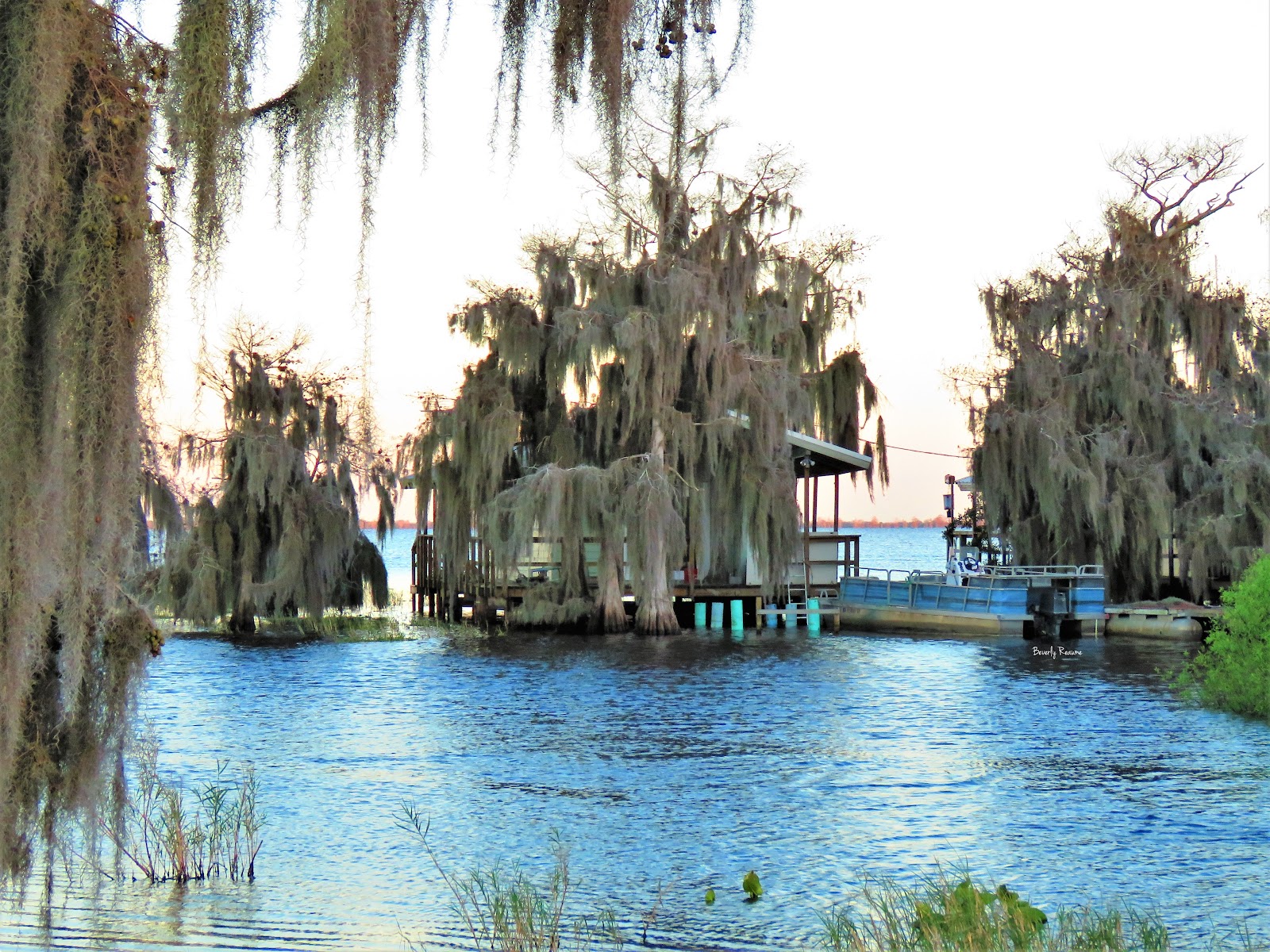 Blue Cypress Lake Middletons Fish Camp