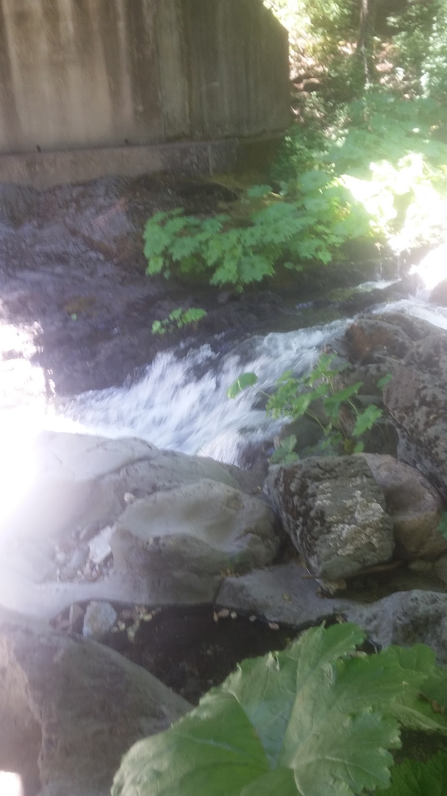 Little North Fork Campground