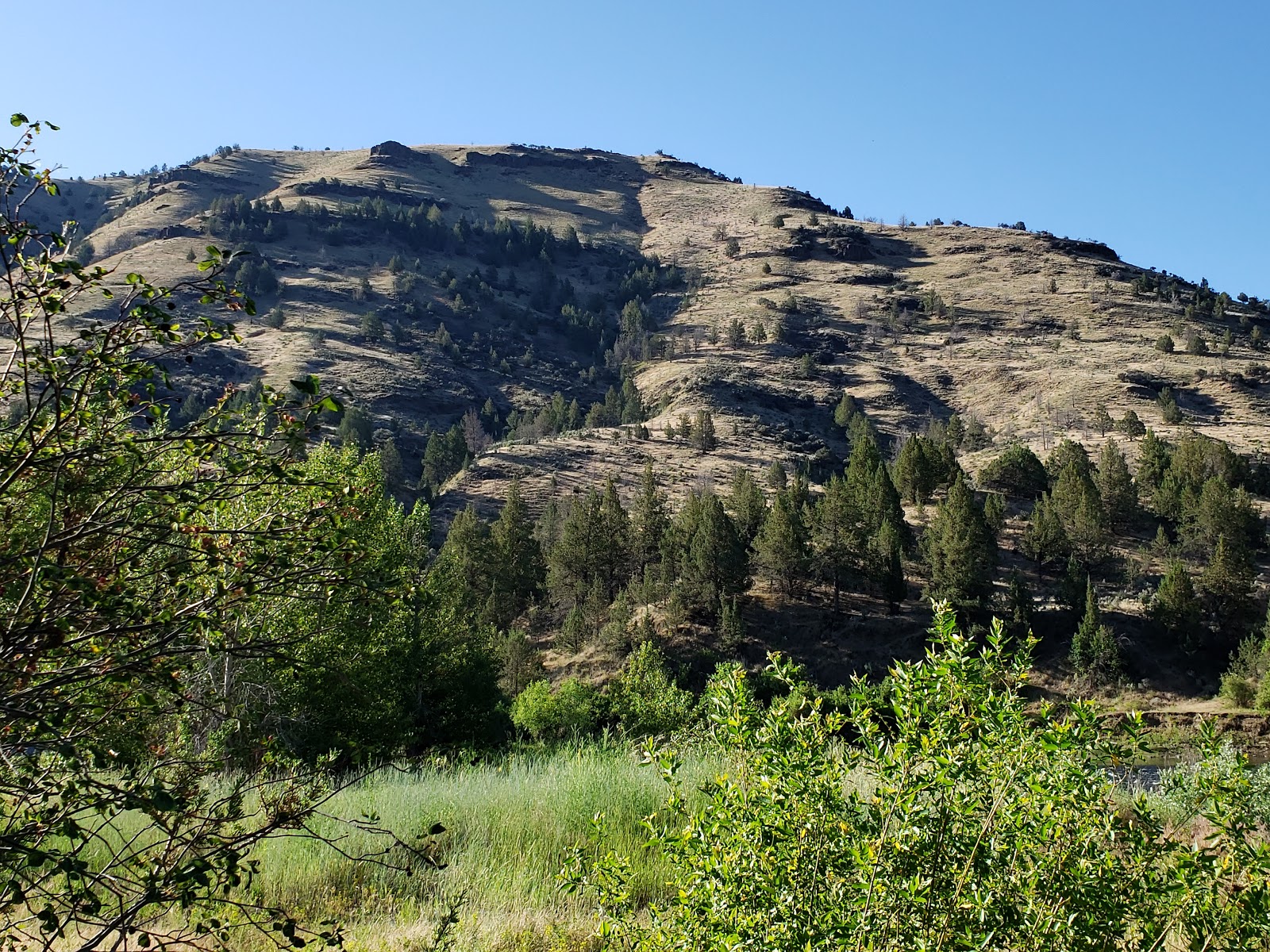 Lone Pine John Day River Campground