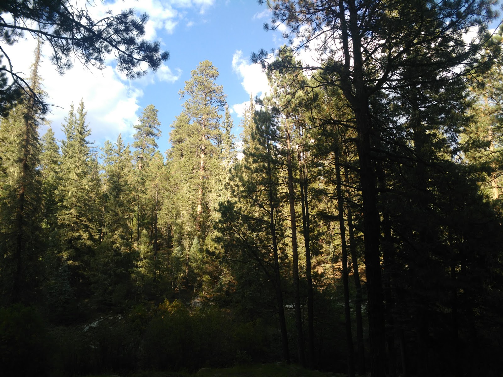 Rio De Las Vacas Campground