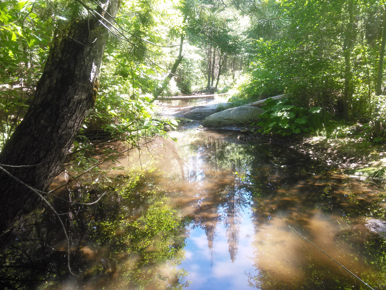 Dry Gulch Campground