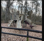 East Rim - Cloudland Canyon State Park