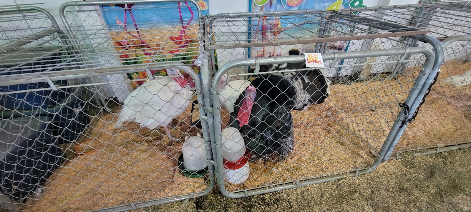 Latah County Fairgrounds RV Park