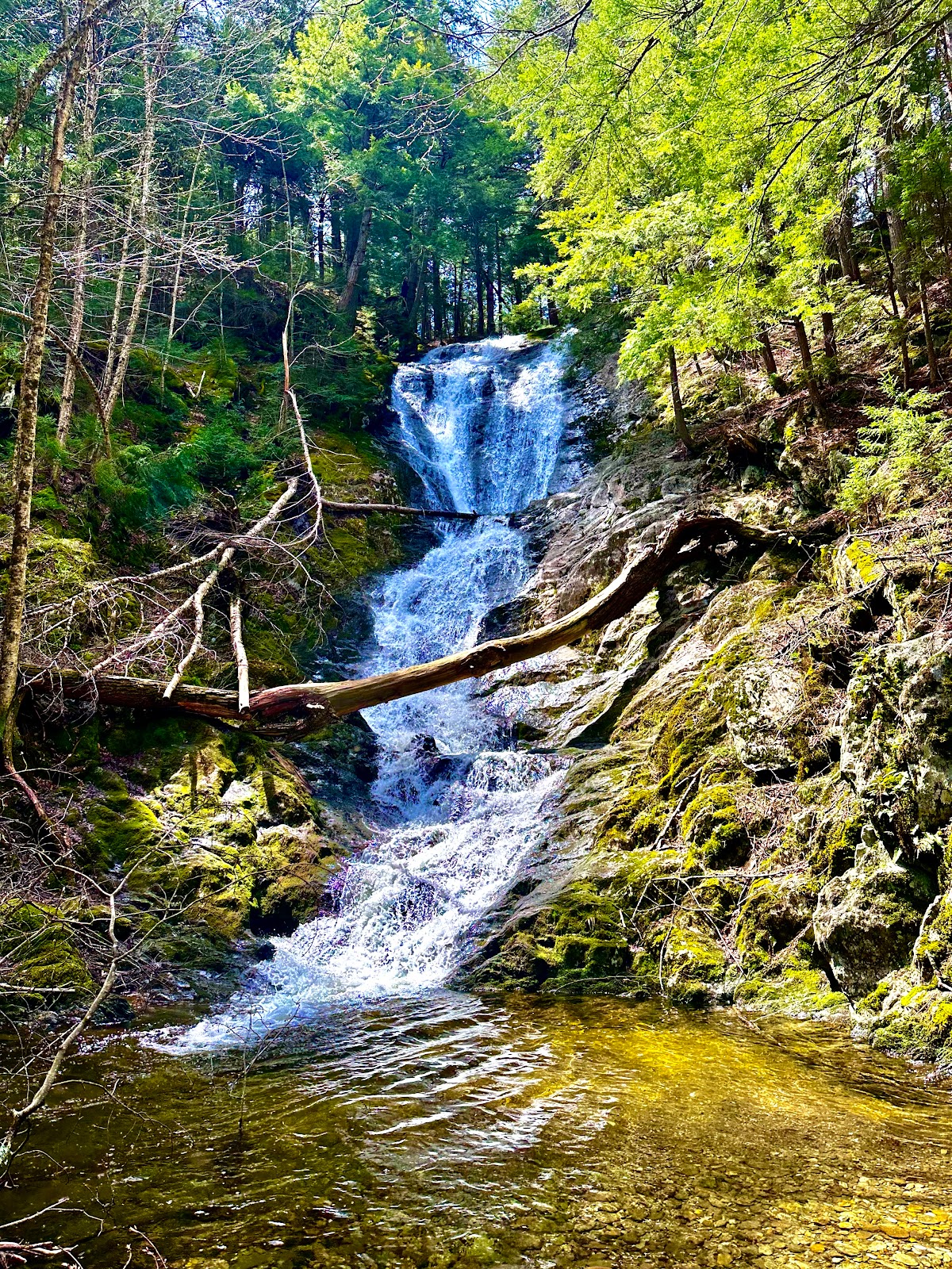 Tannery Falls