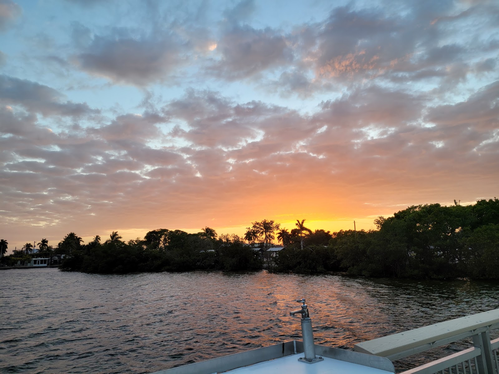 Little Pines Trailer Park