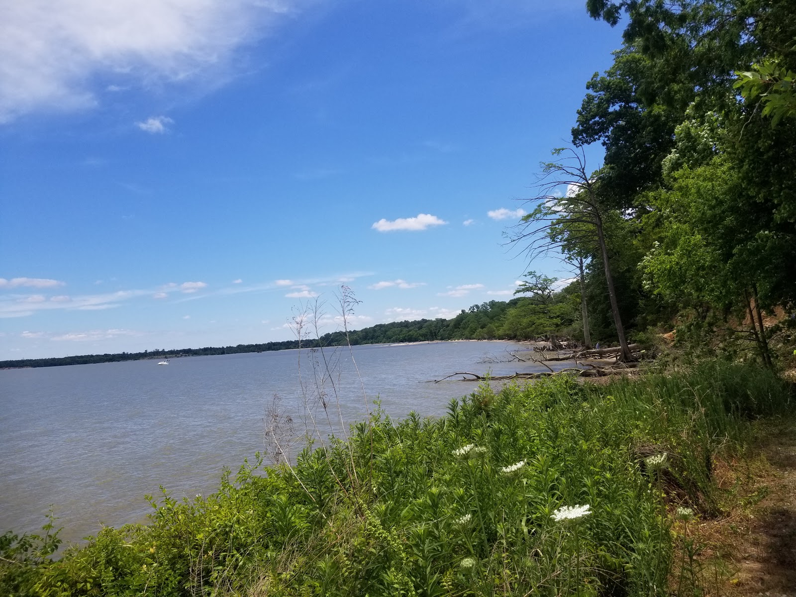 Chippokes State Park Campground