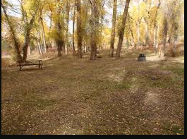 East Elk Creek Group Campsite