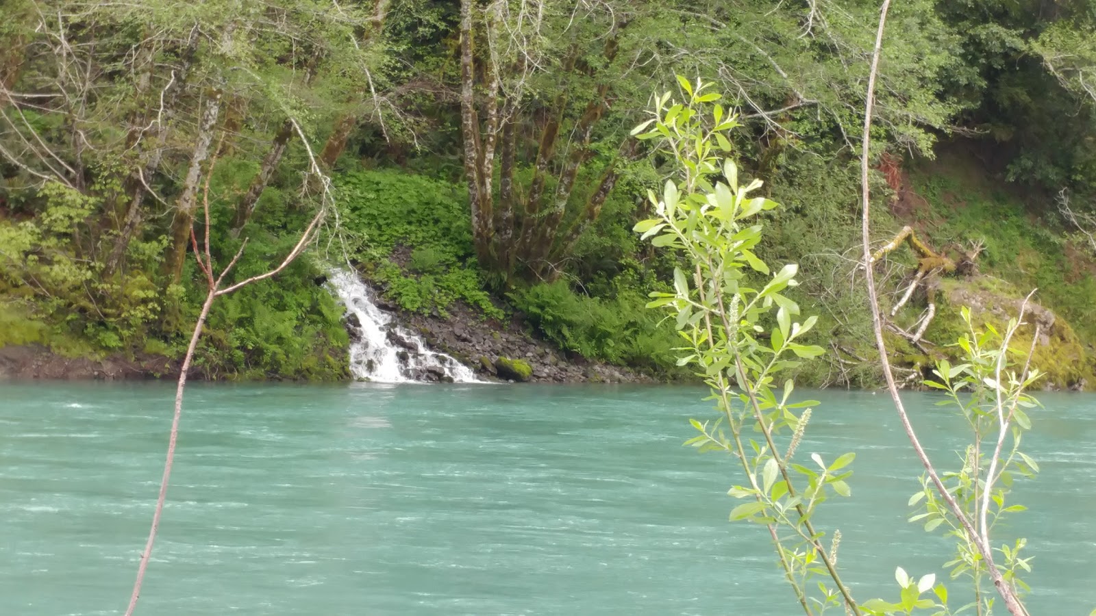 First Camp Campground