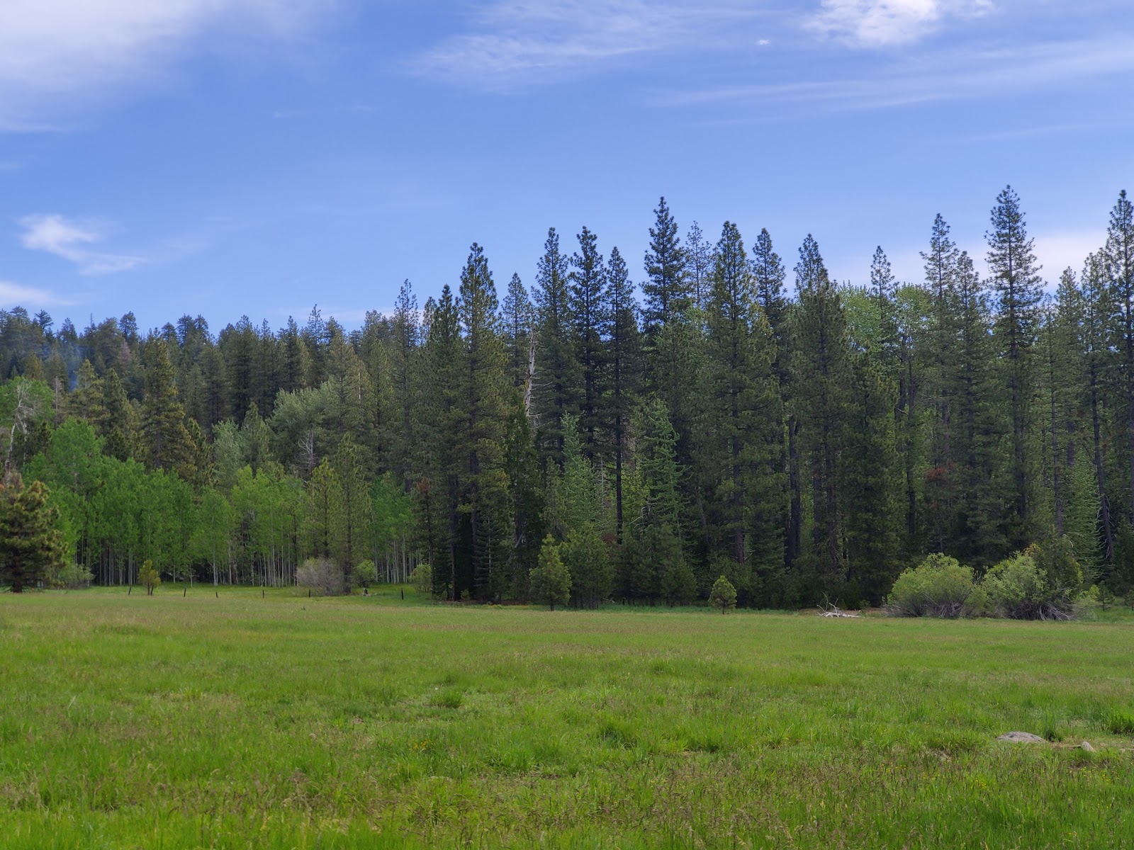 Volcano Country Camping and RV
