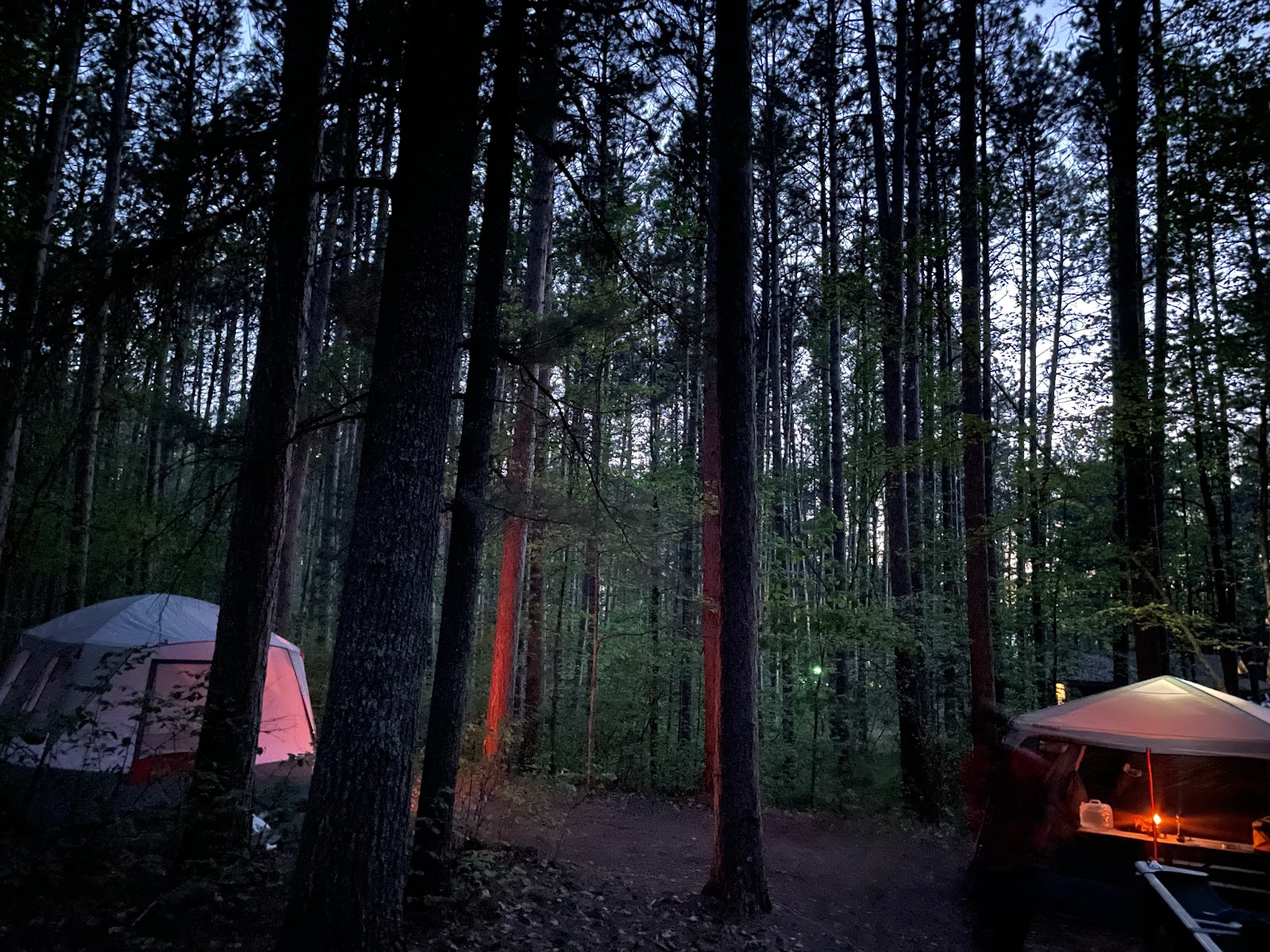 Chippewa Campground Loop