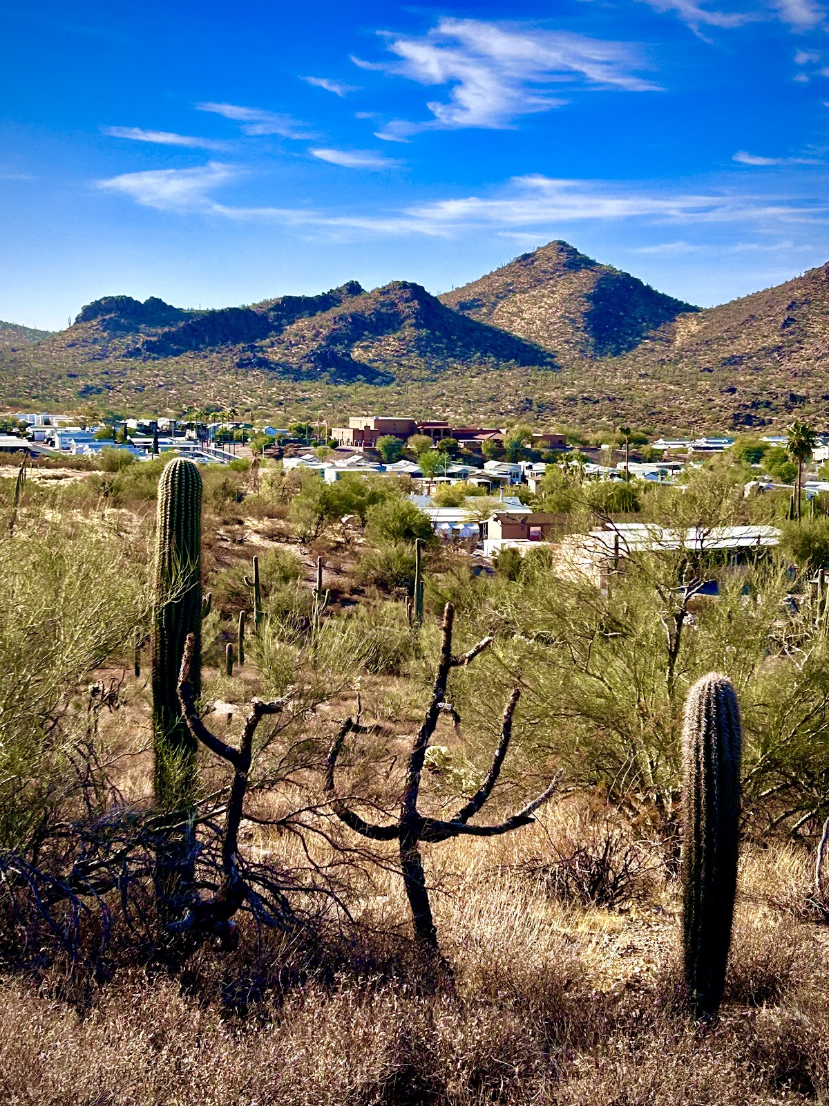 Queen Valley RV Resort