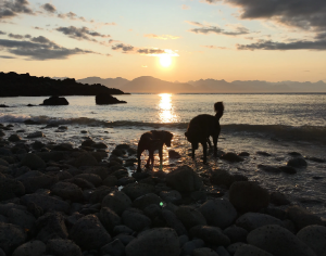 Eagle Beach State Recreation Area