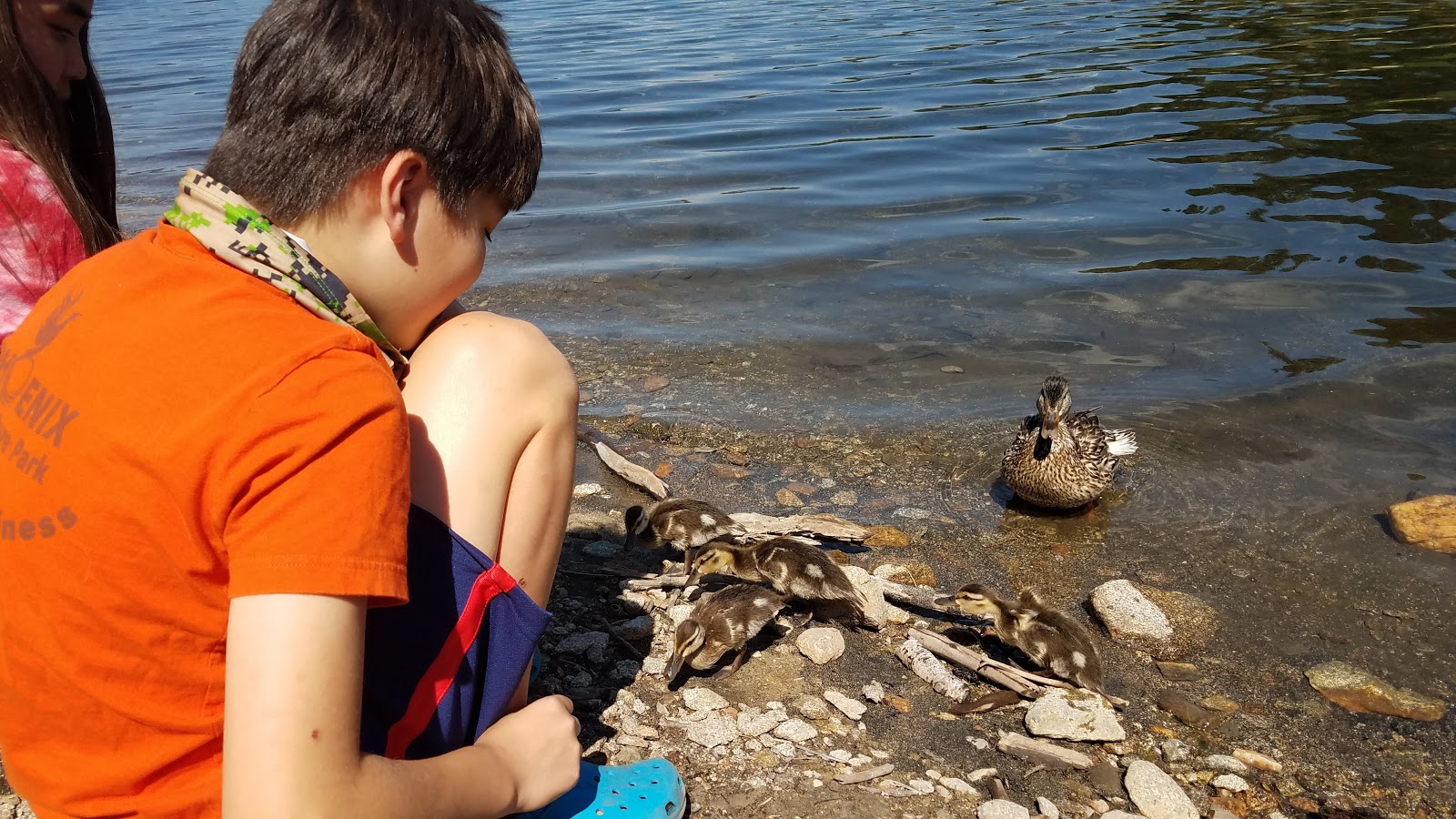 White Horse Campground