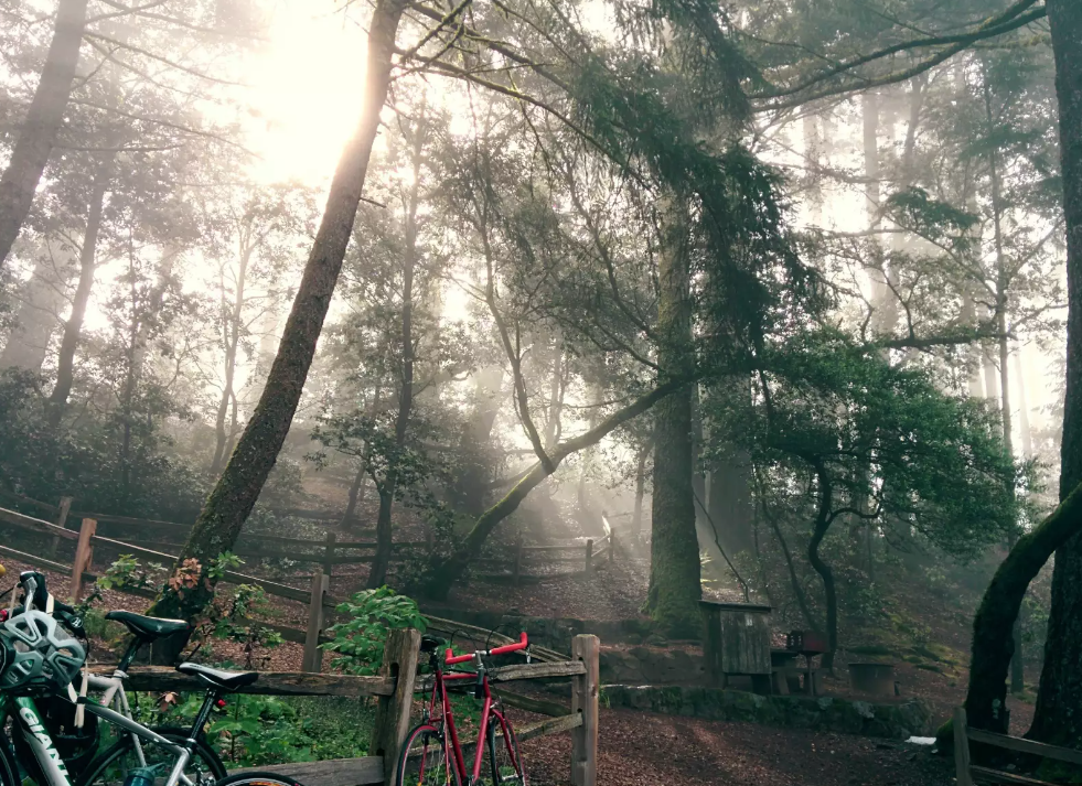 Zachary Taylor Waterfront RV Resort