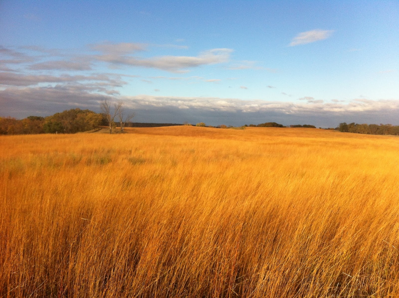 Upper Sioux Agency State Park