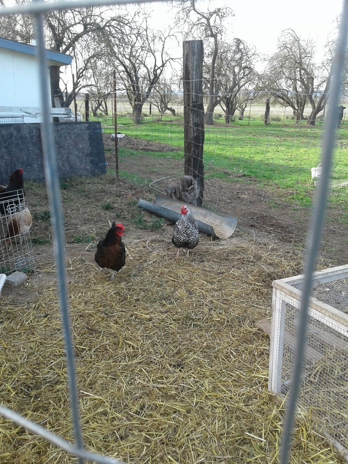 Campers Inn RV Park & Golf Course