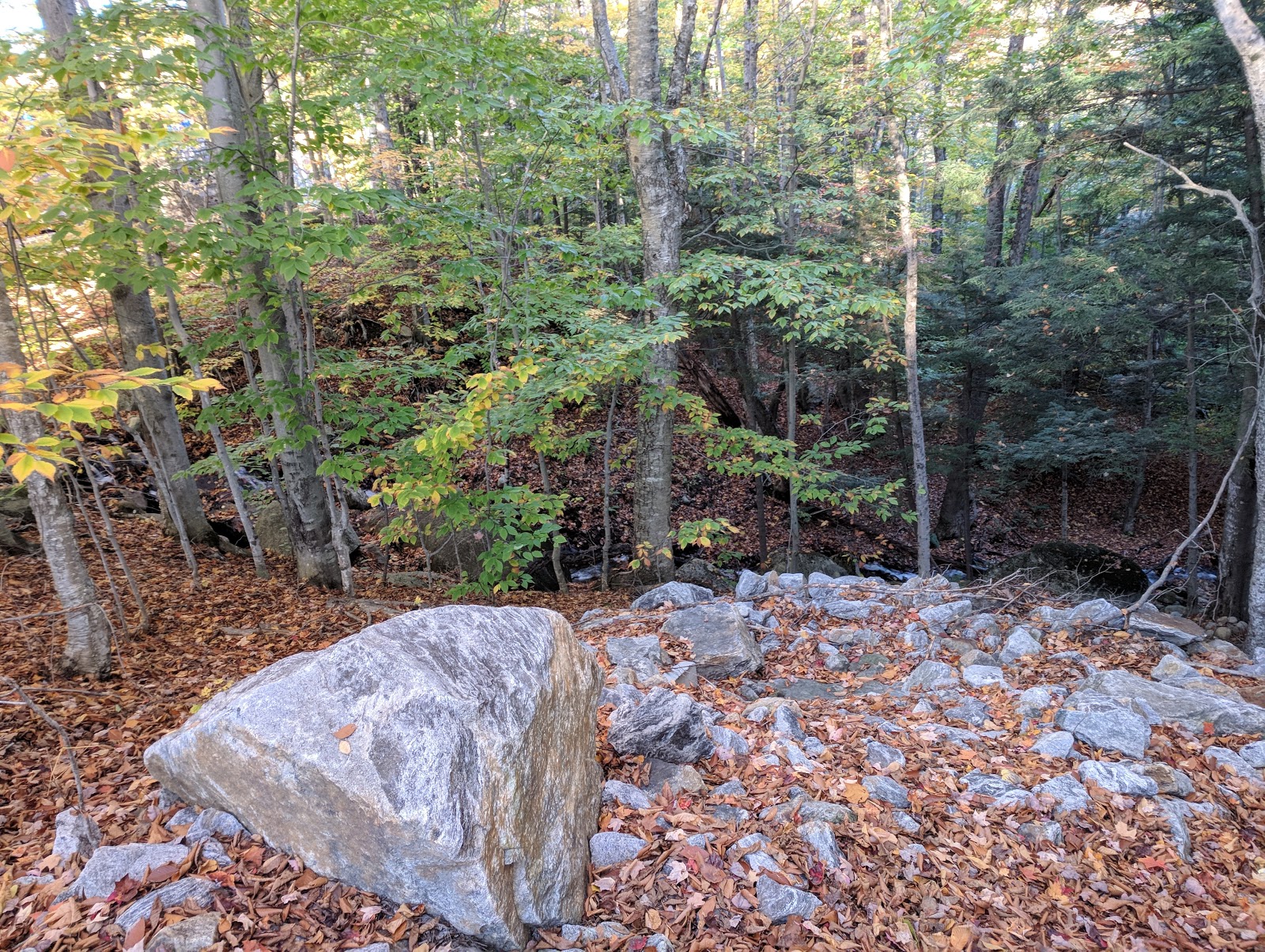 The Flume/Franconia Notch State Park