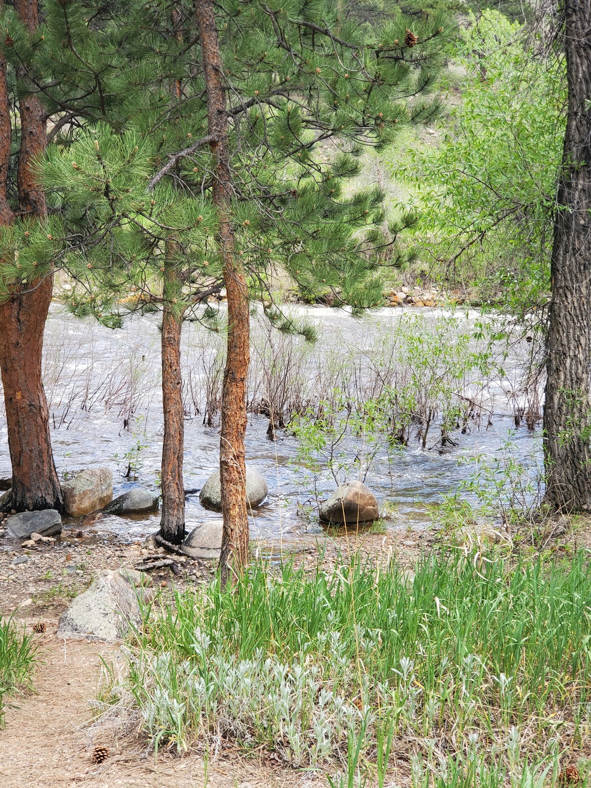 Kelly Flats Campground