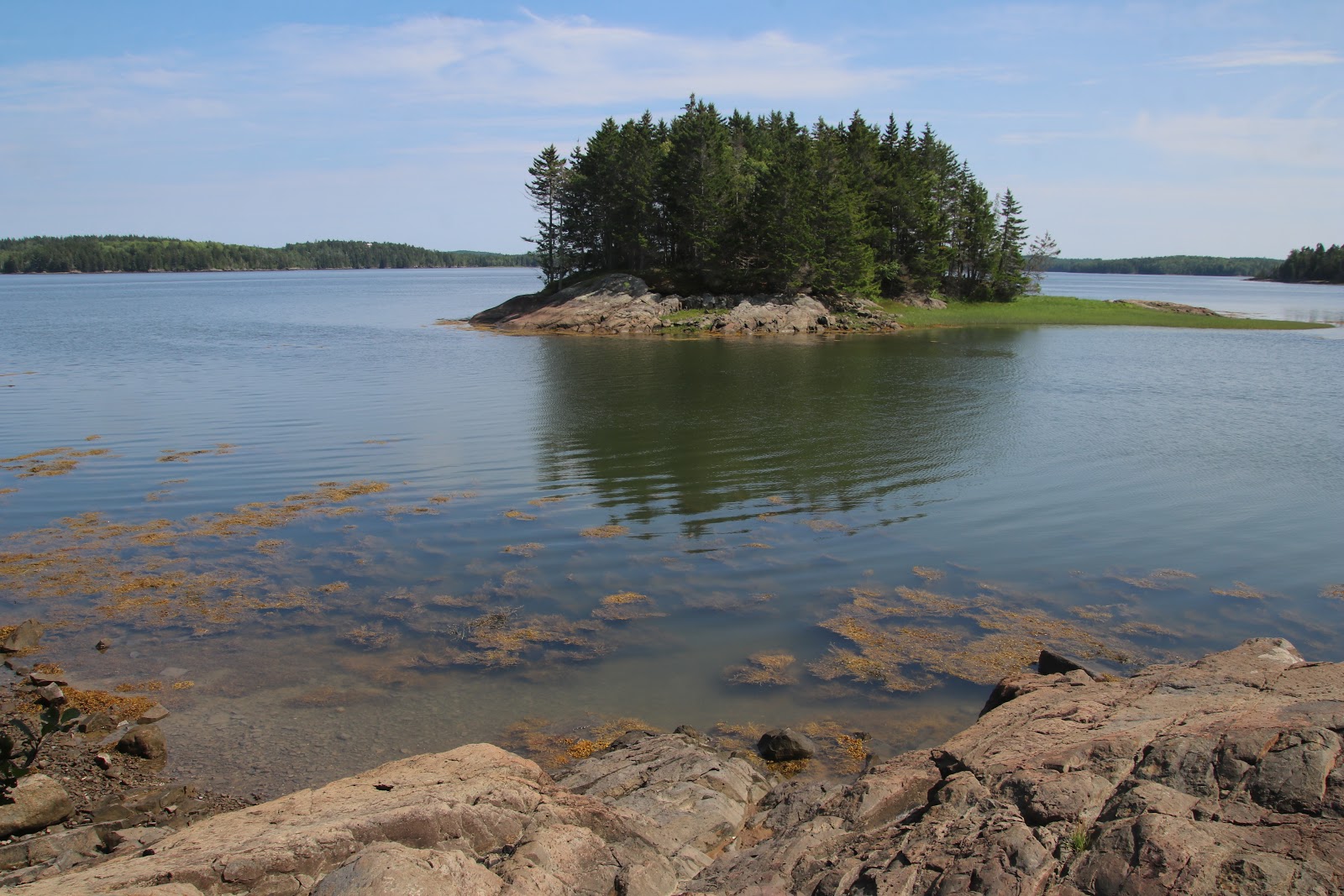 Cobscook Bay State Park Campground