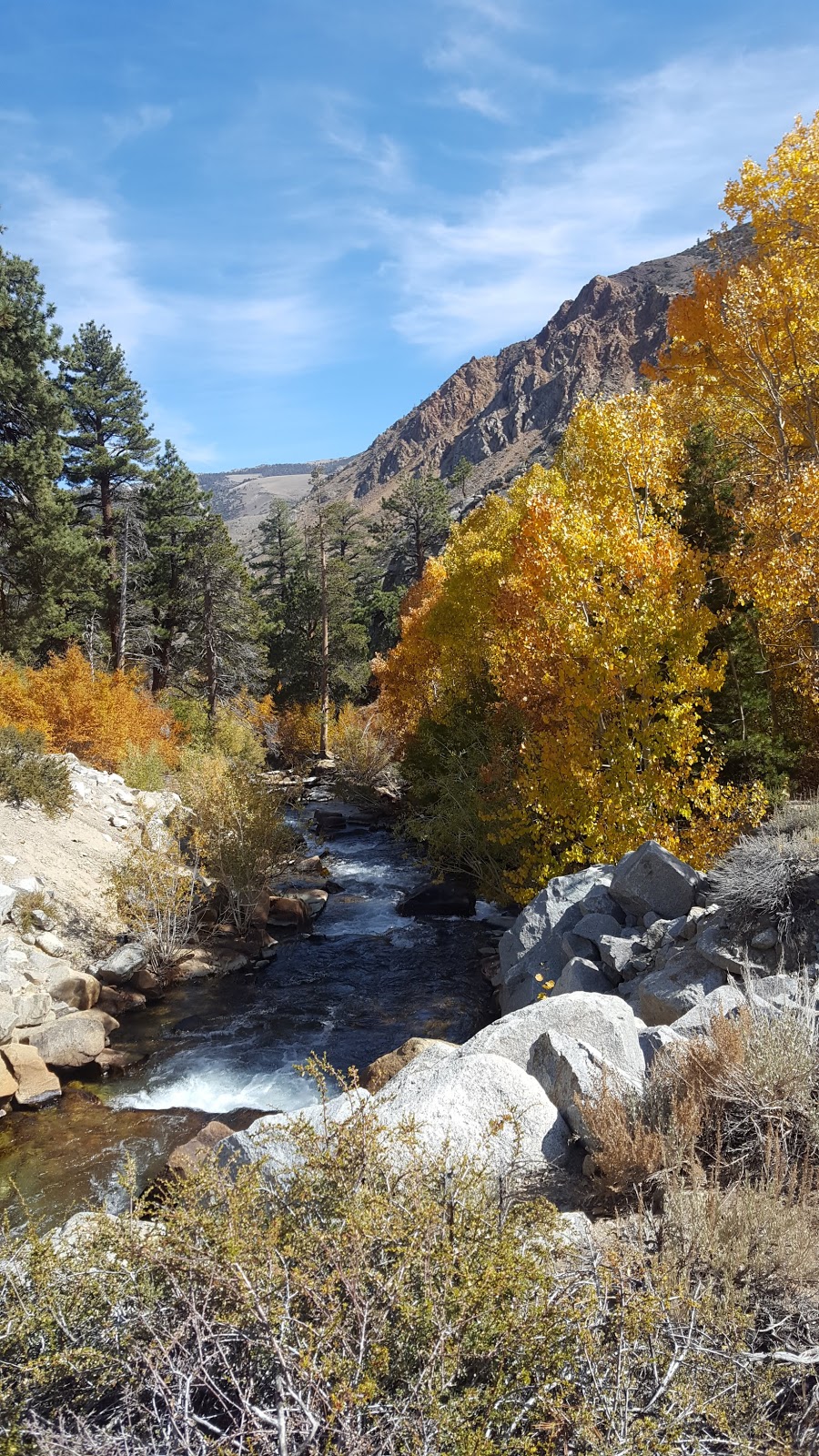 Bishop Park Campground