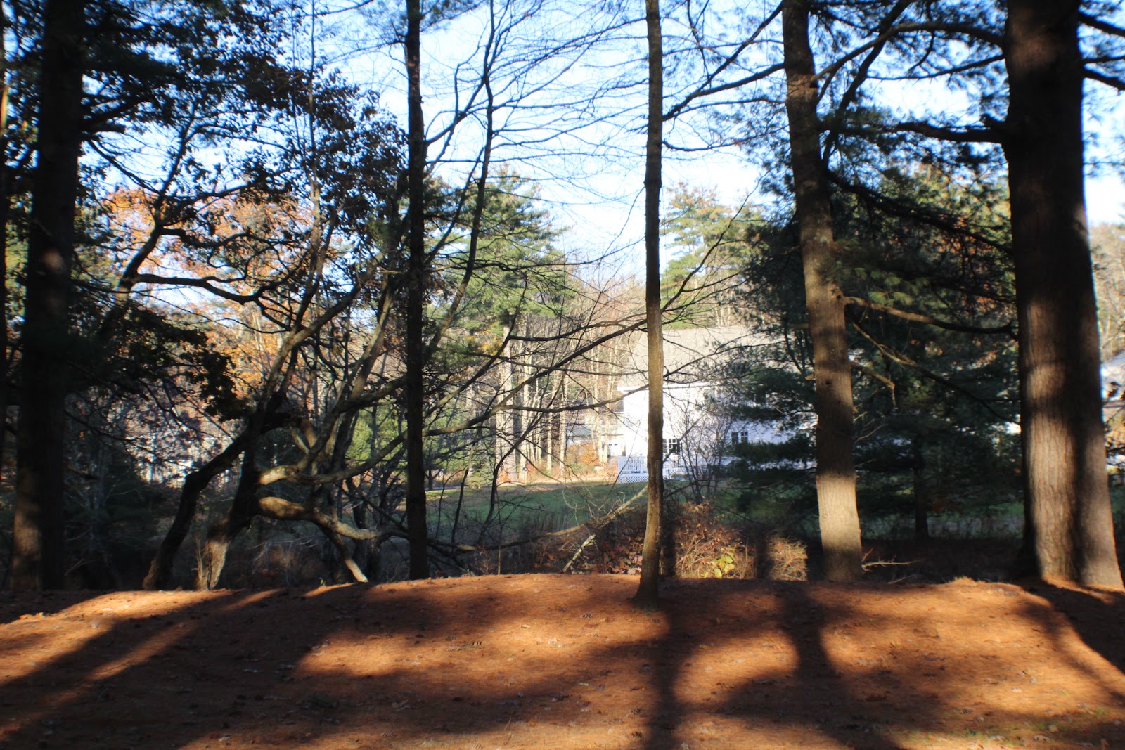 Epsom Valley Campground