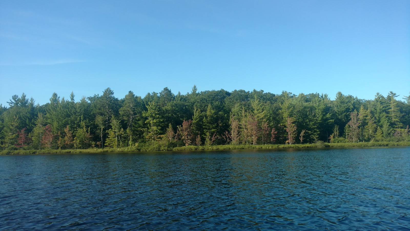 Spring Lake SF Campground