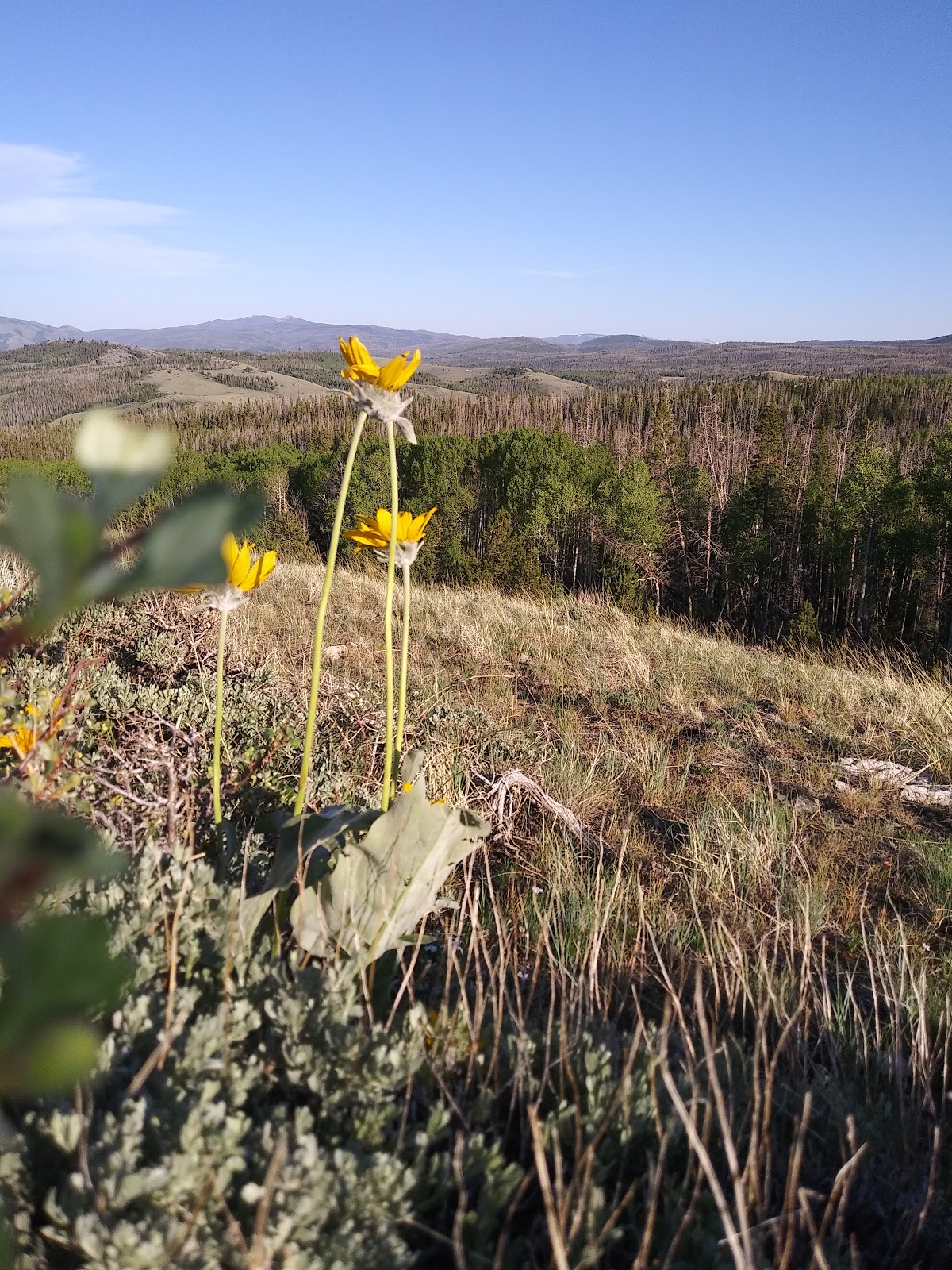 Bottle Creek Campground