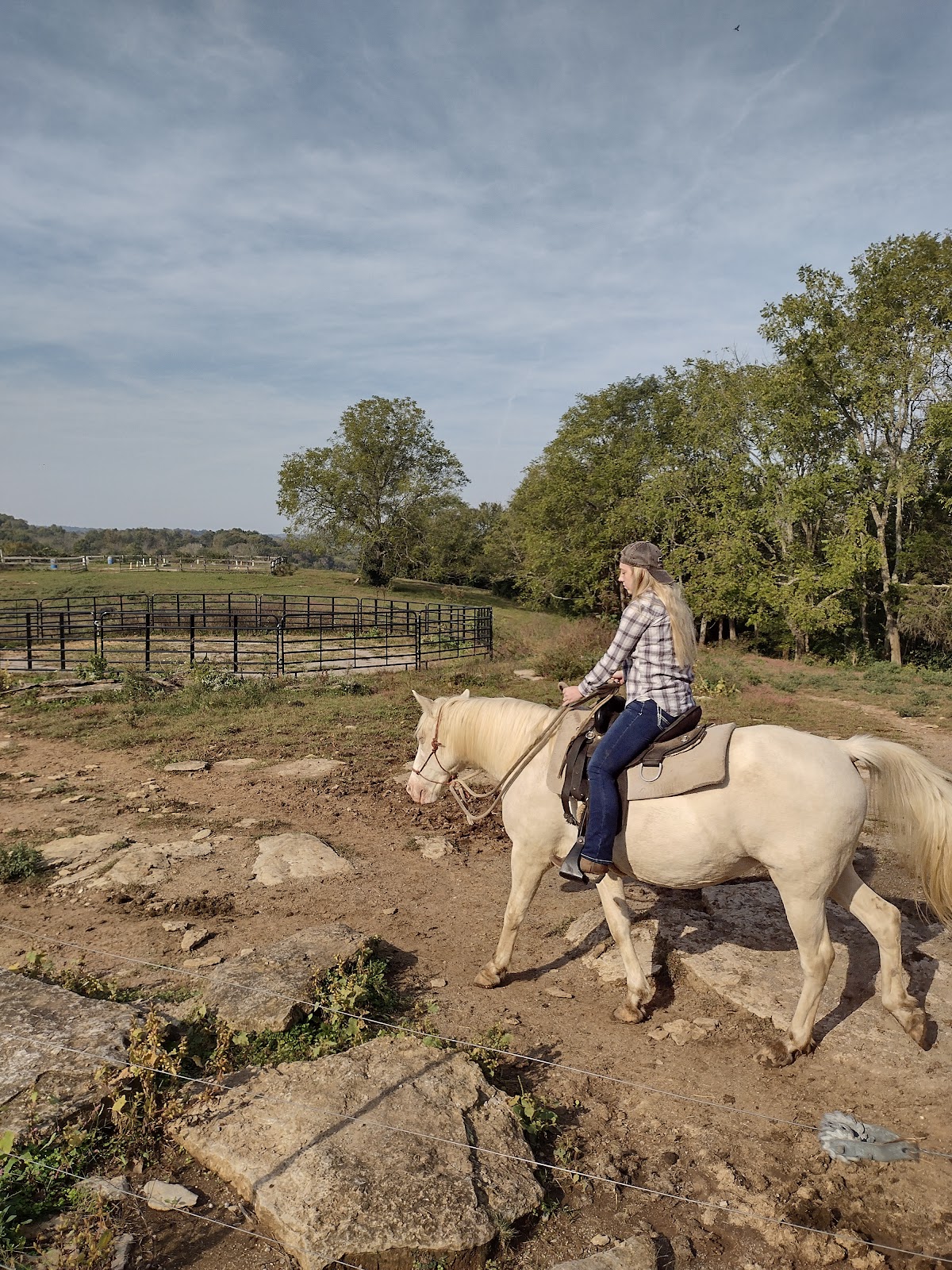 Deer Run Stables LLC