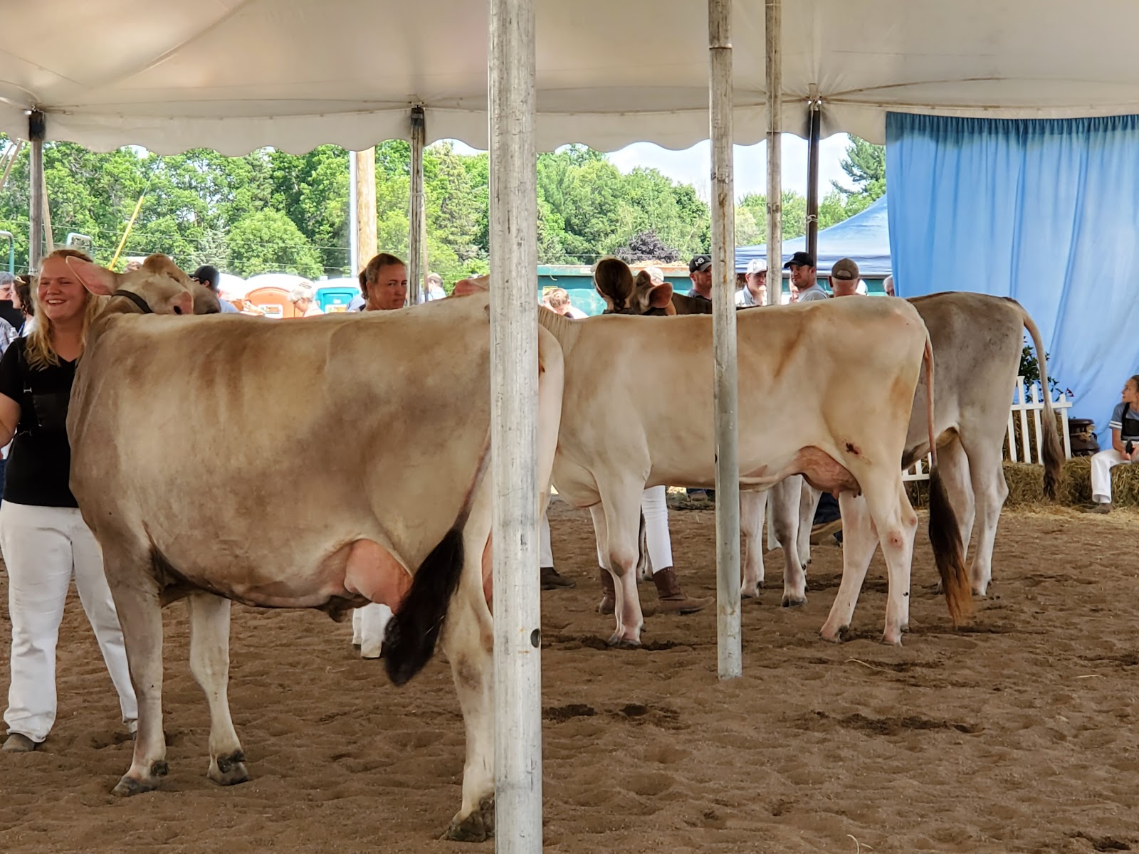 Fair Hill Campground