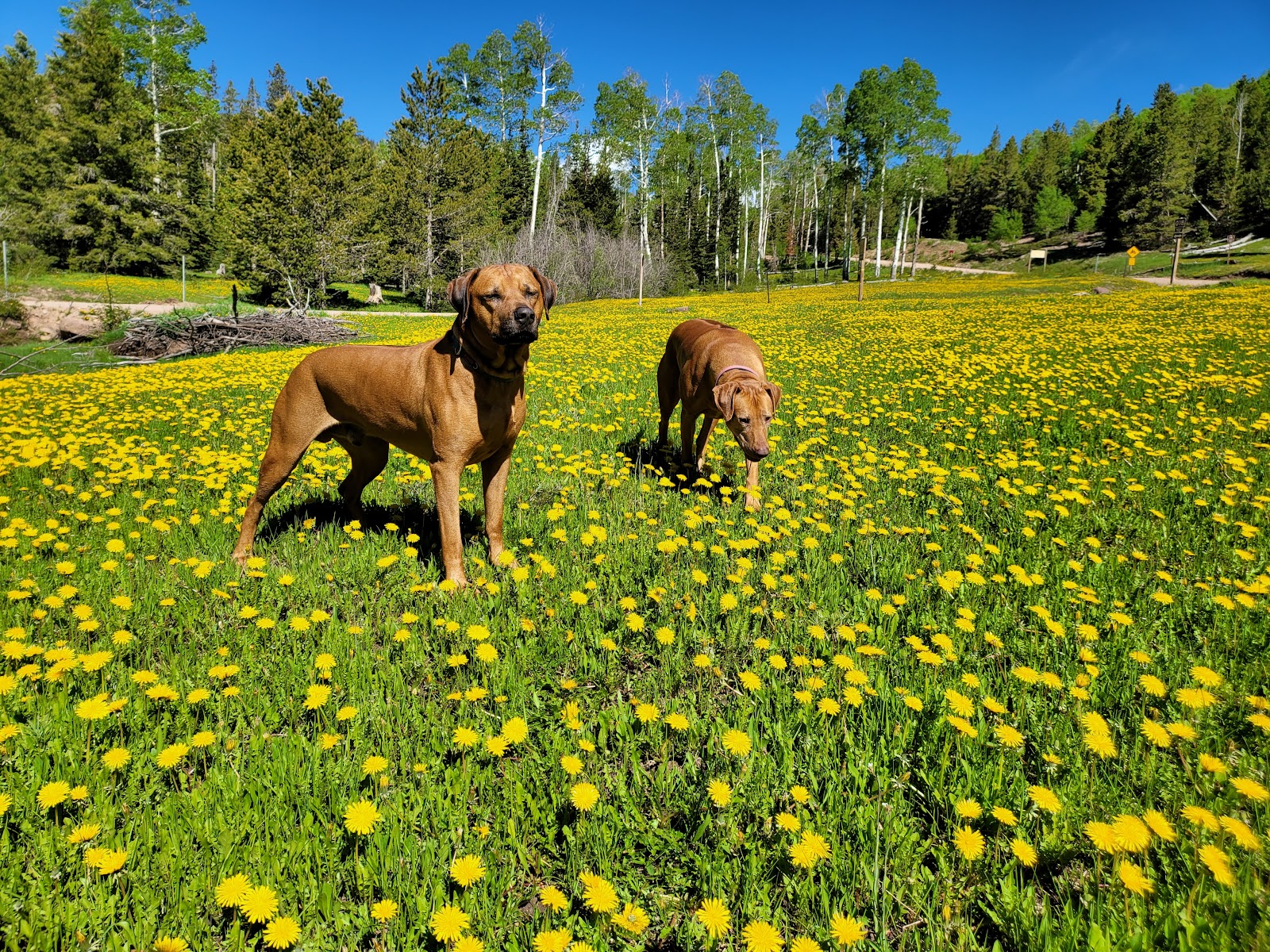 Kaler Hollow Campground