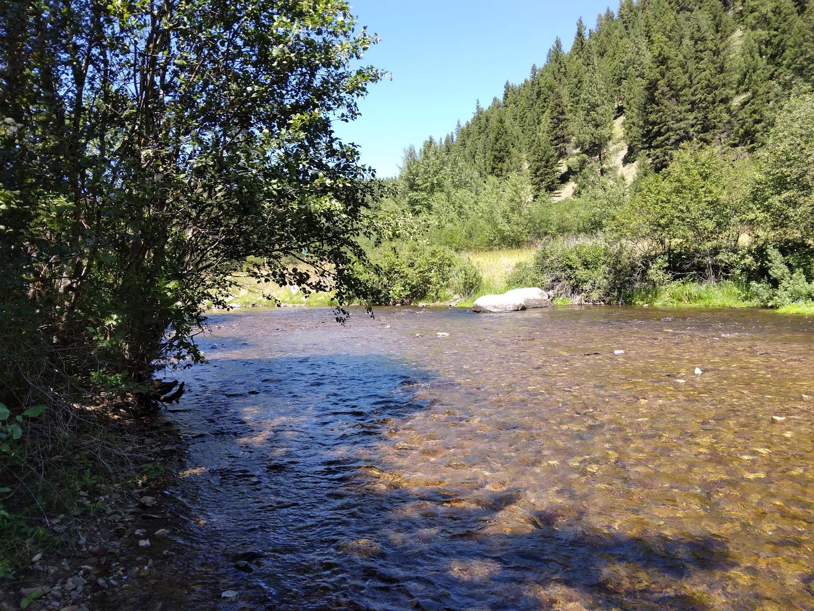 Lolo Creek Campground and Picnic Area