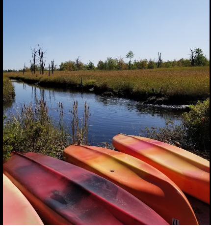 Bayley's Camping Resort