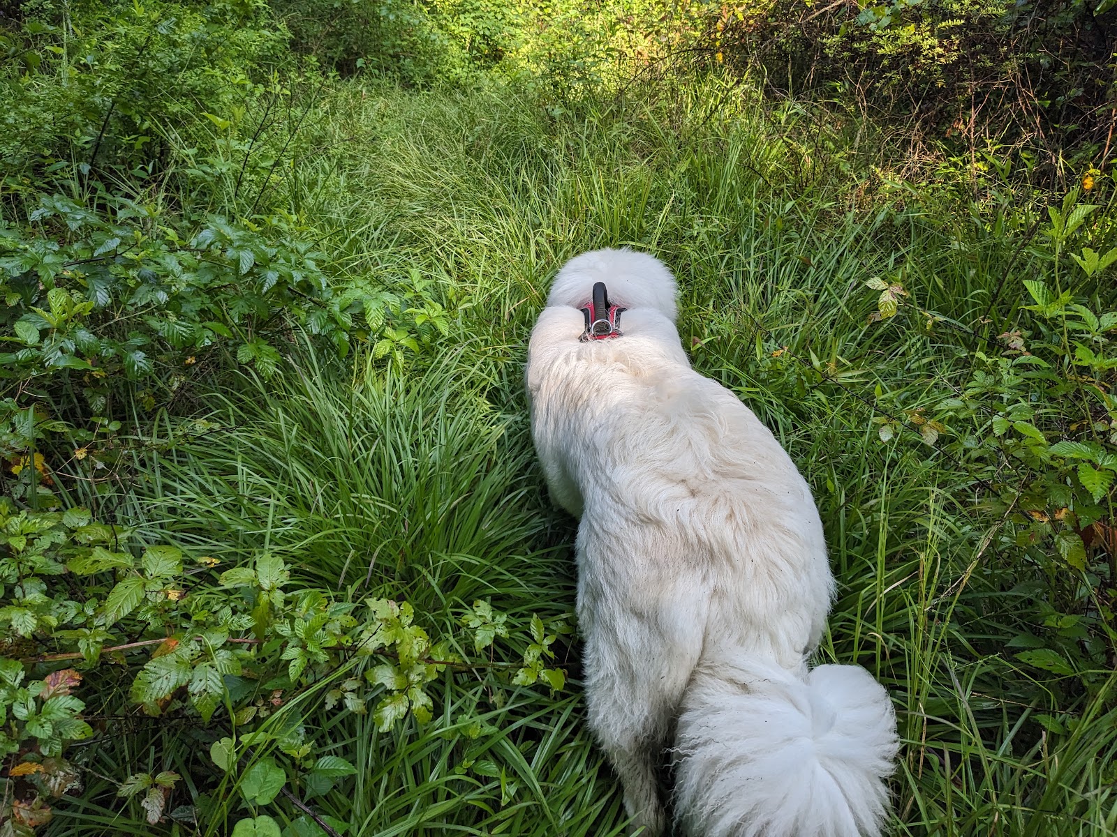 Fairley Bridge Landing