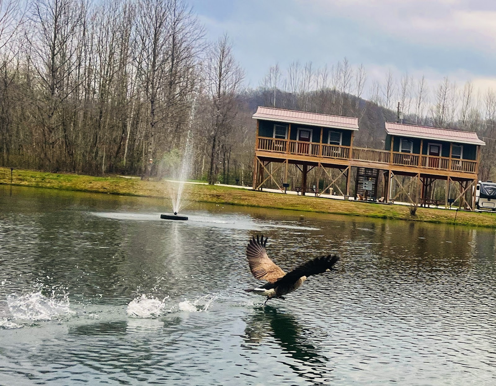 Sheltowee RV Park & Cabins