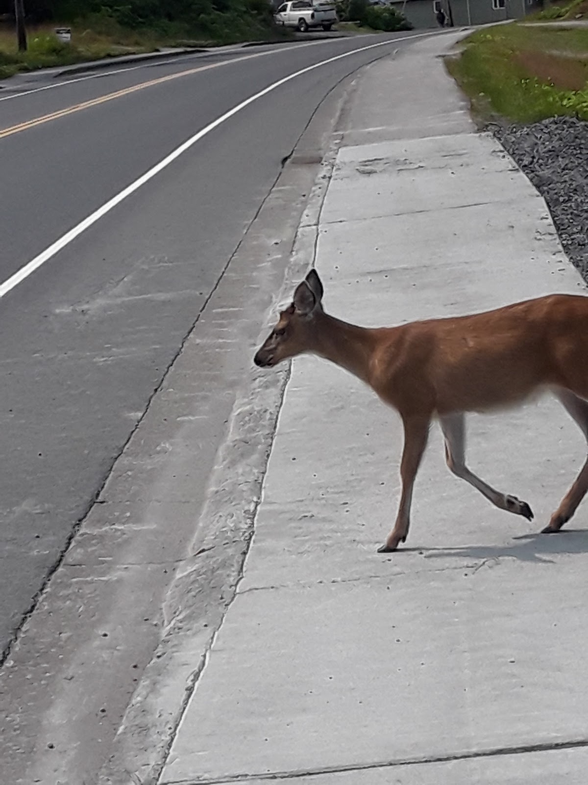 Alaska Waters RV Park