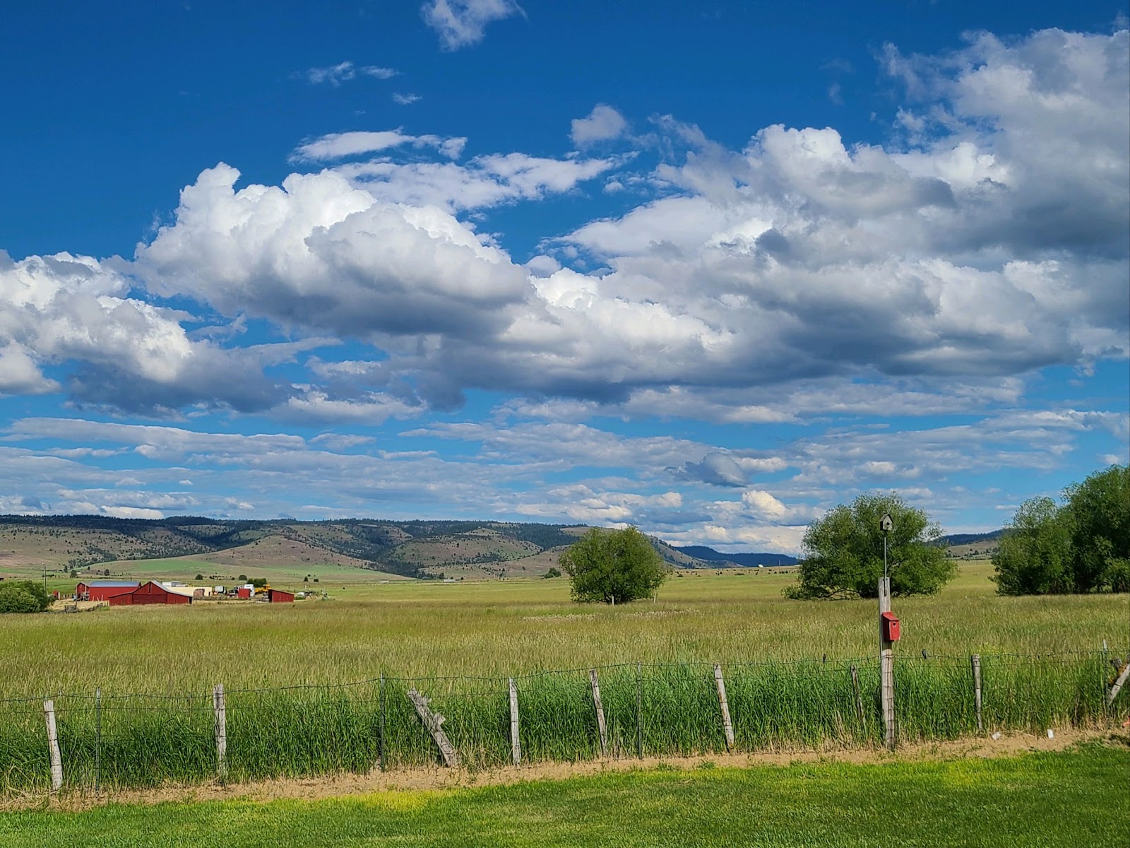 Hitching Post Trailer Court