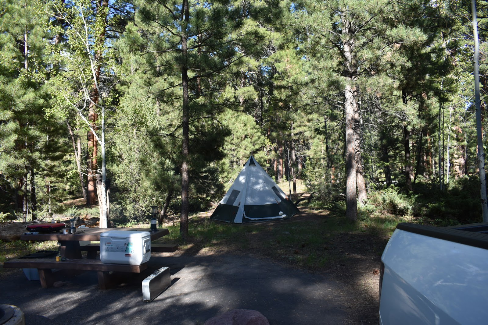 Yellow Pine Campground