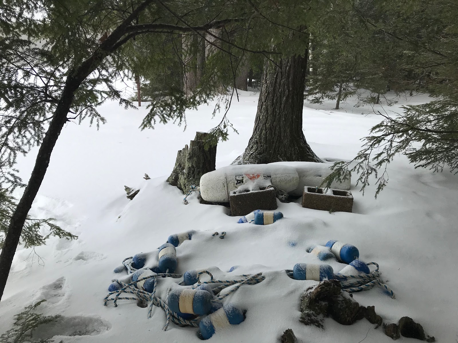 Spectacle Lake NF Campground