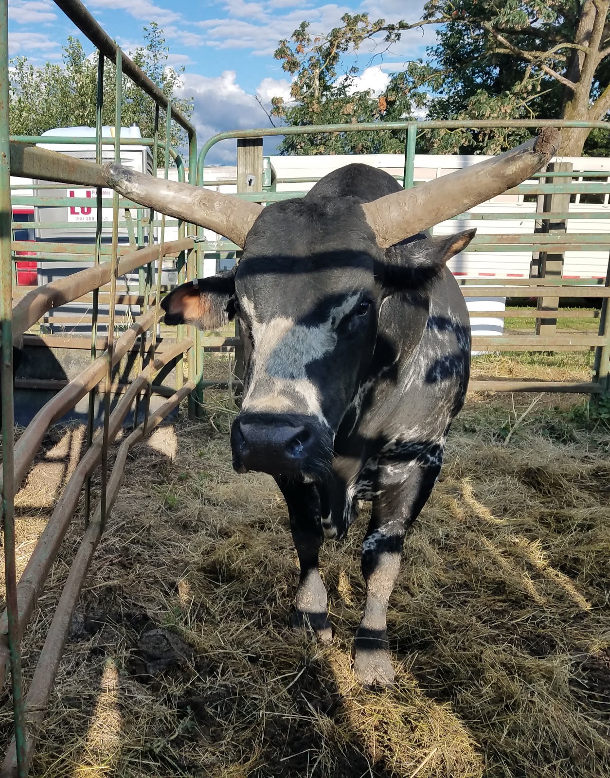 Sumas RV Park & Campground