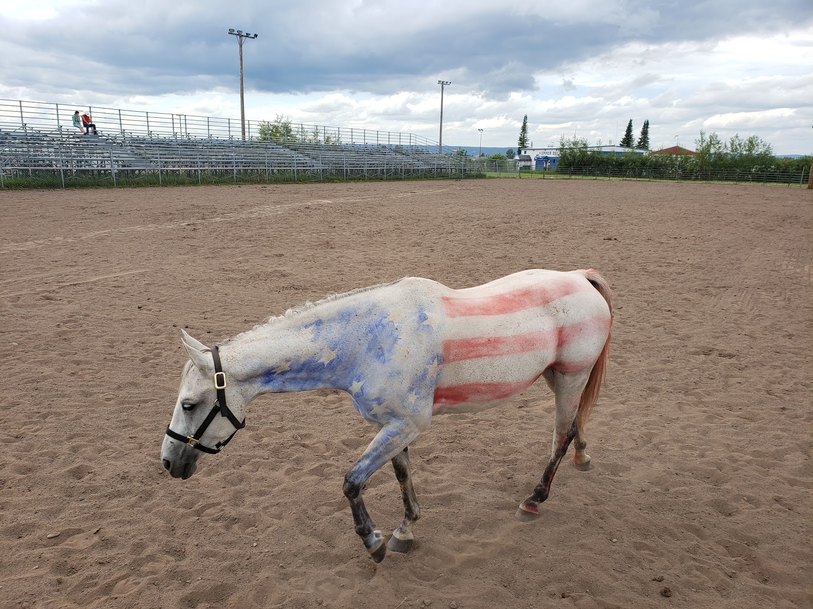 Head of the Lakes Campground