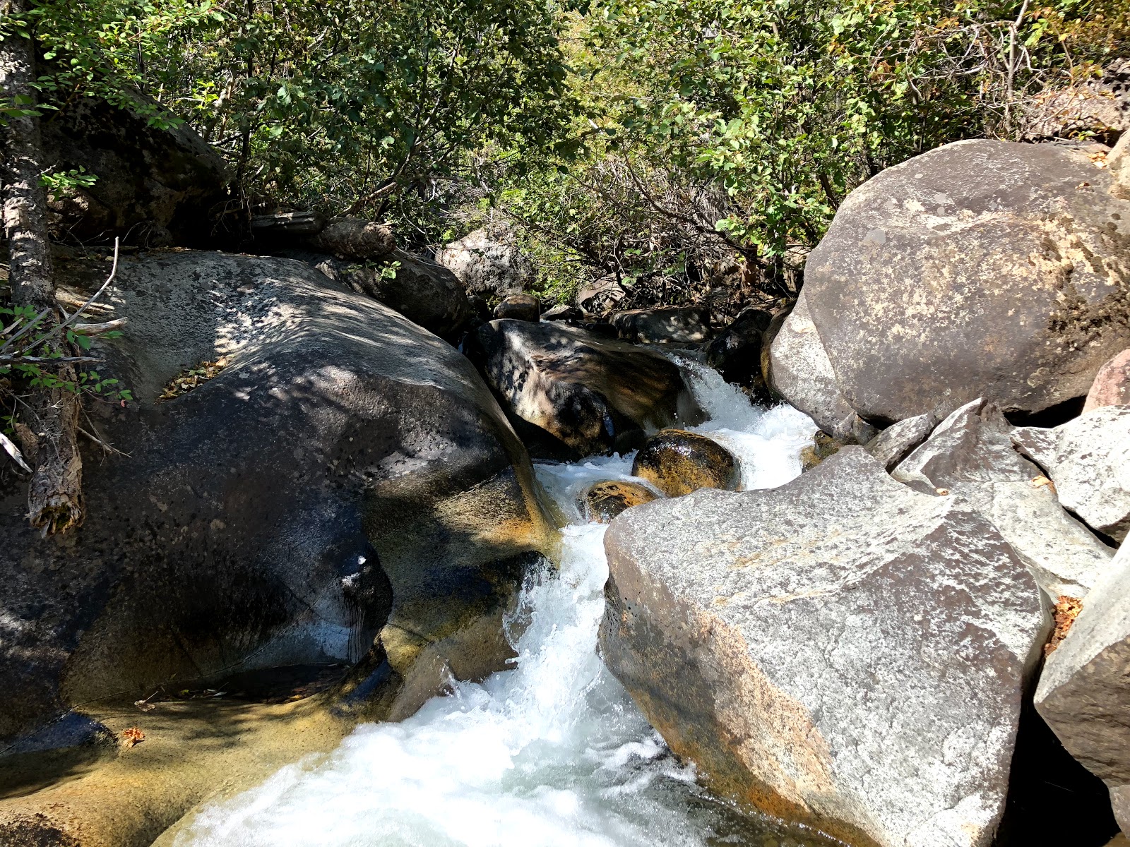 Silver Creek Campground