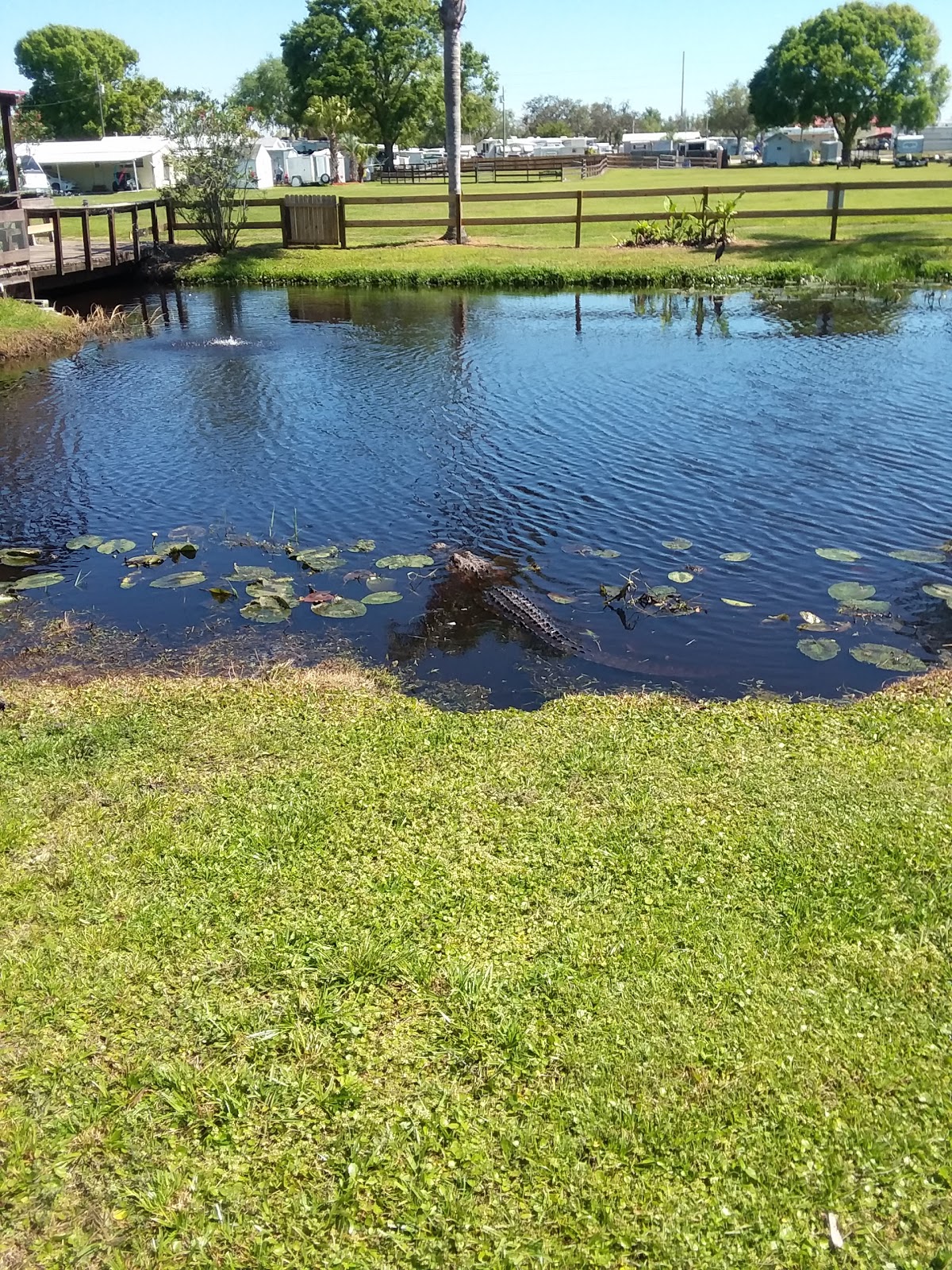 Camp-N-Aire RV Resort