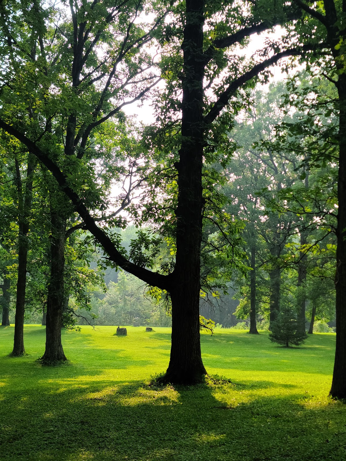 Greenwood County Park & Campground