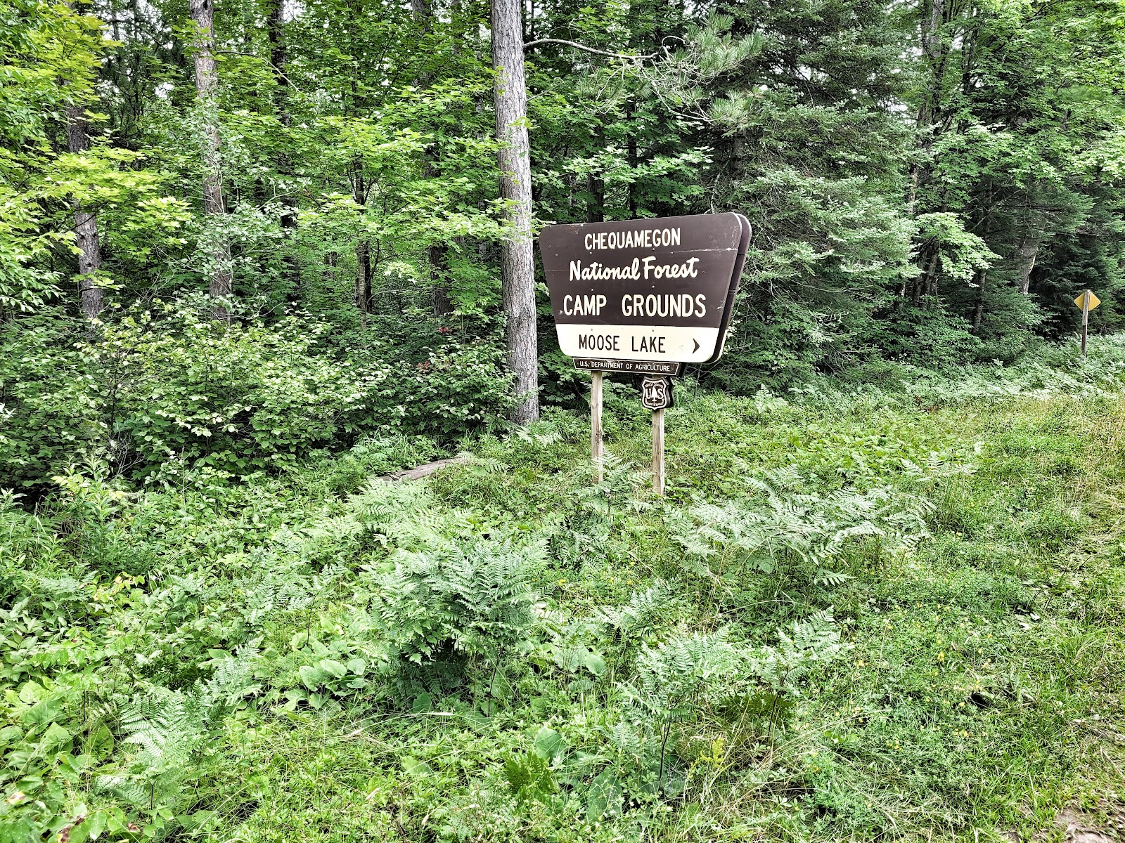 Moose Lake NF Campground