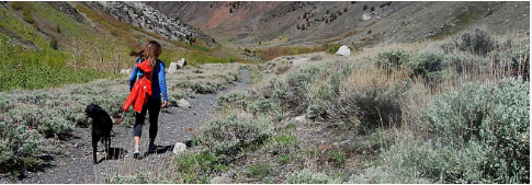 Mt. Whitney Family Campground