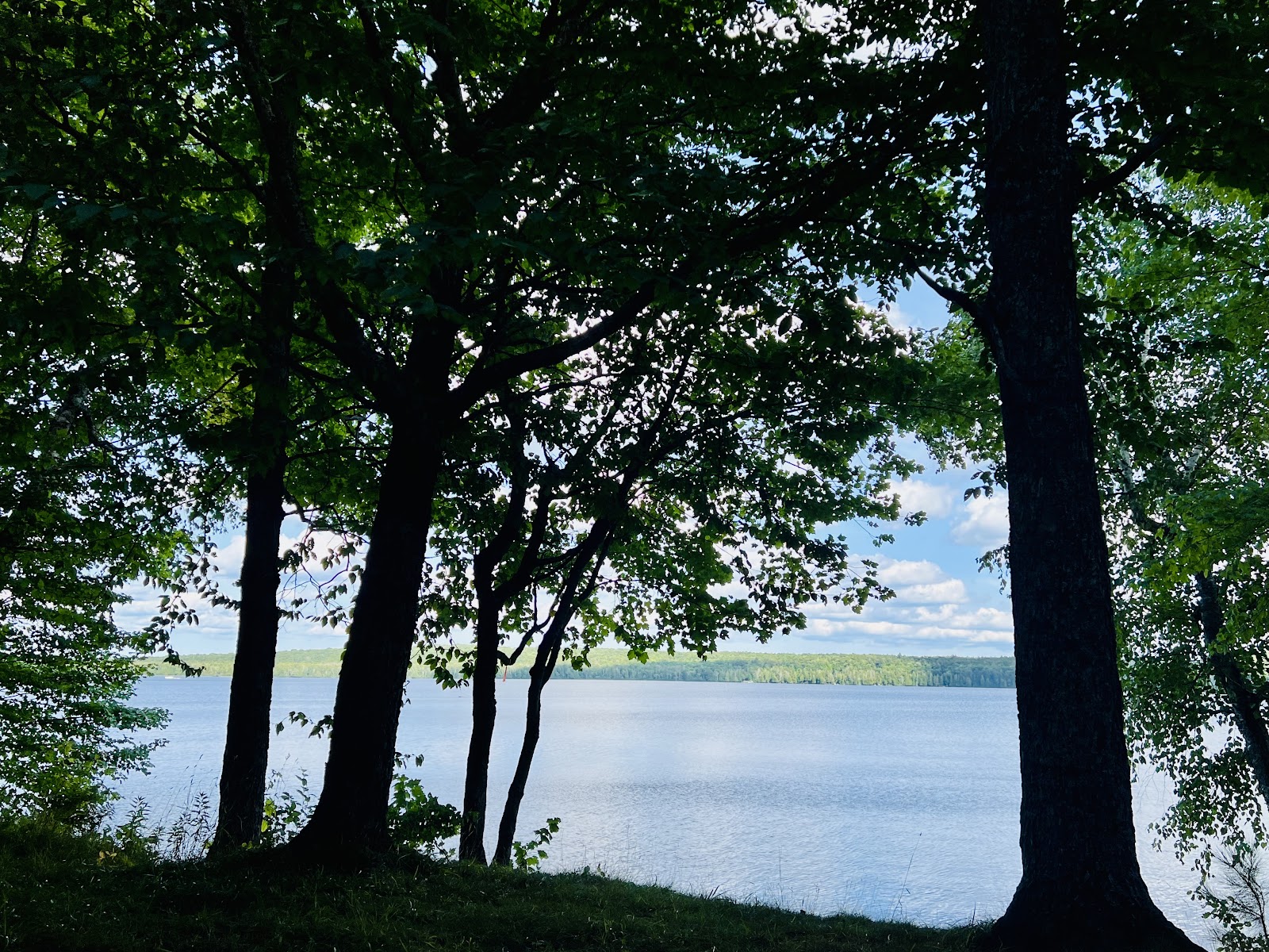 Perch Lake NF Campground